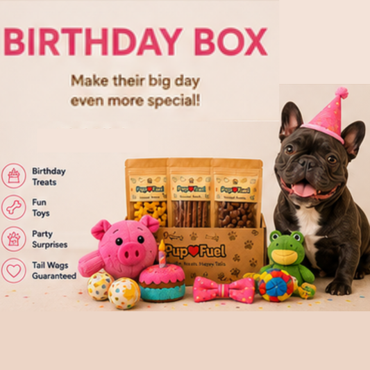 Dog birthday box with treats, toys, and a dog wearing a party hat on a light background.