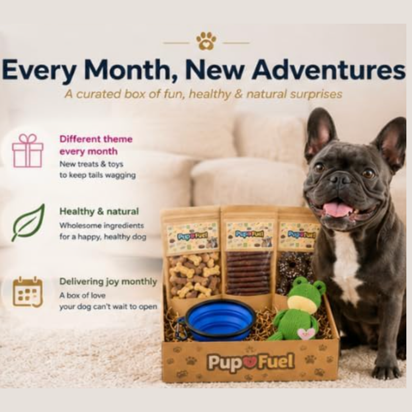 PupFuel dog product box with treats, toys, and accessories on a light background