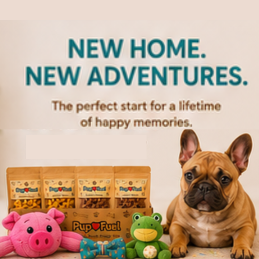 Puppy box with dog toys and treats, featuring a puppy and a pig toy.