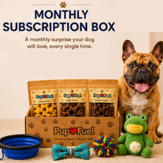 Dog with a monthly subscription box of dog treats, toys, and accessories on a beige background.