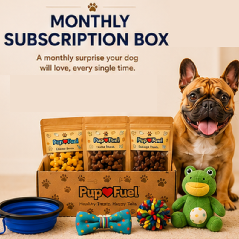 Dog with a monthly subscription box of dog treats, toys, and accessories on a beige background.