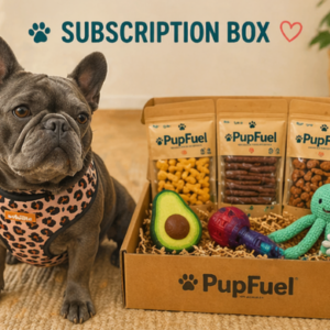 french bulldog with her natural treats and toys in a box
