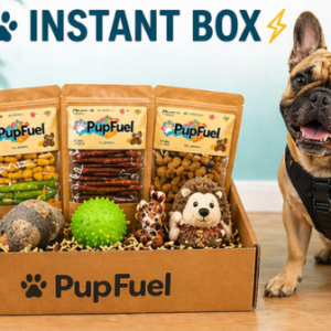 french bulldog with his box of natural treats and toys